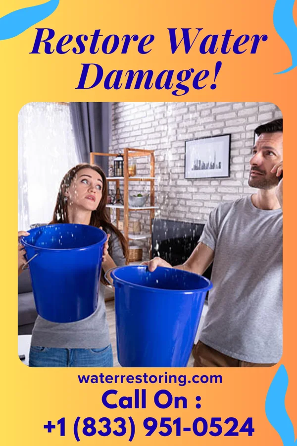 water restoration Prestige Sewage Cleanup Authority West Alton