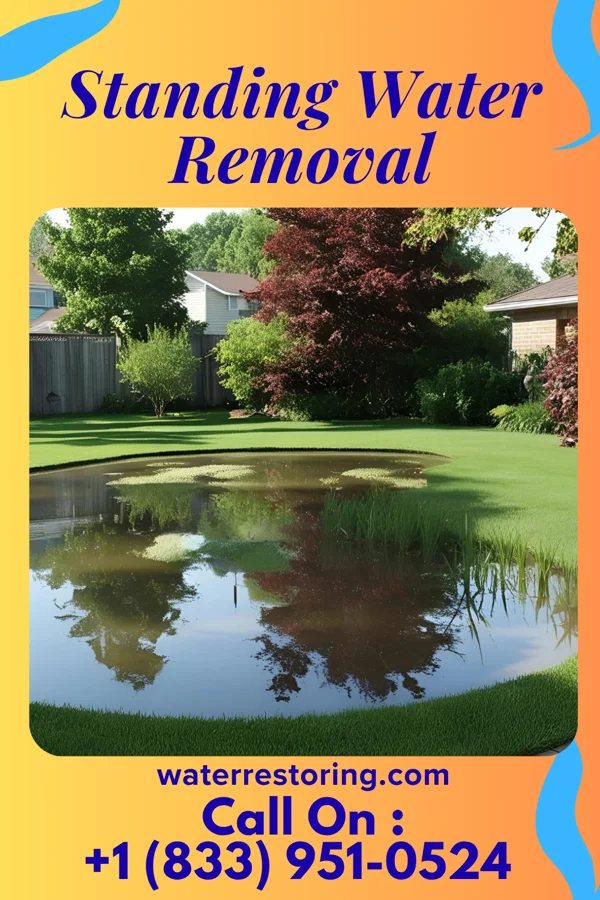 Standing Water Removal in West Alton, MO